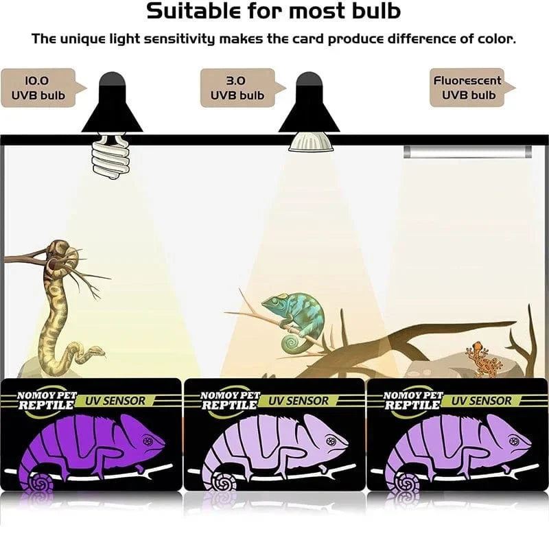 2-piece Fluorescent Color Change Test Cards for Reptile Lighting UVA UVB
