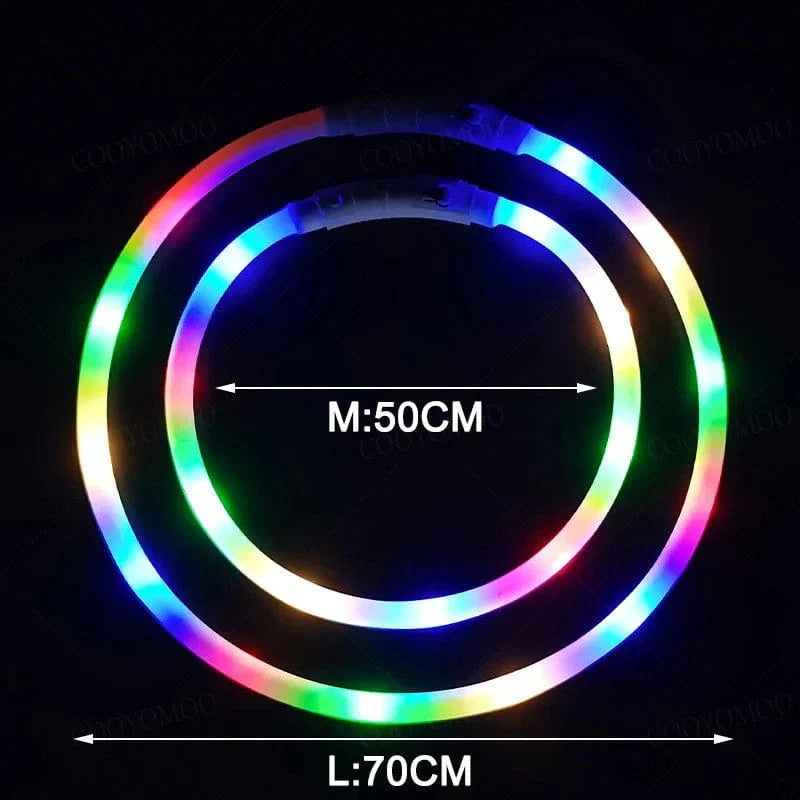 Hundehalsband mit buntem Silikon und LED – abnehmbar, leuchtend, USB aufladbar