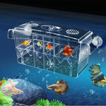 Multifunctional Aquarium Incubator with Transparent Design