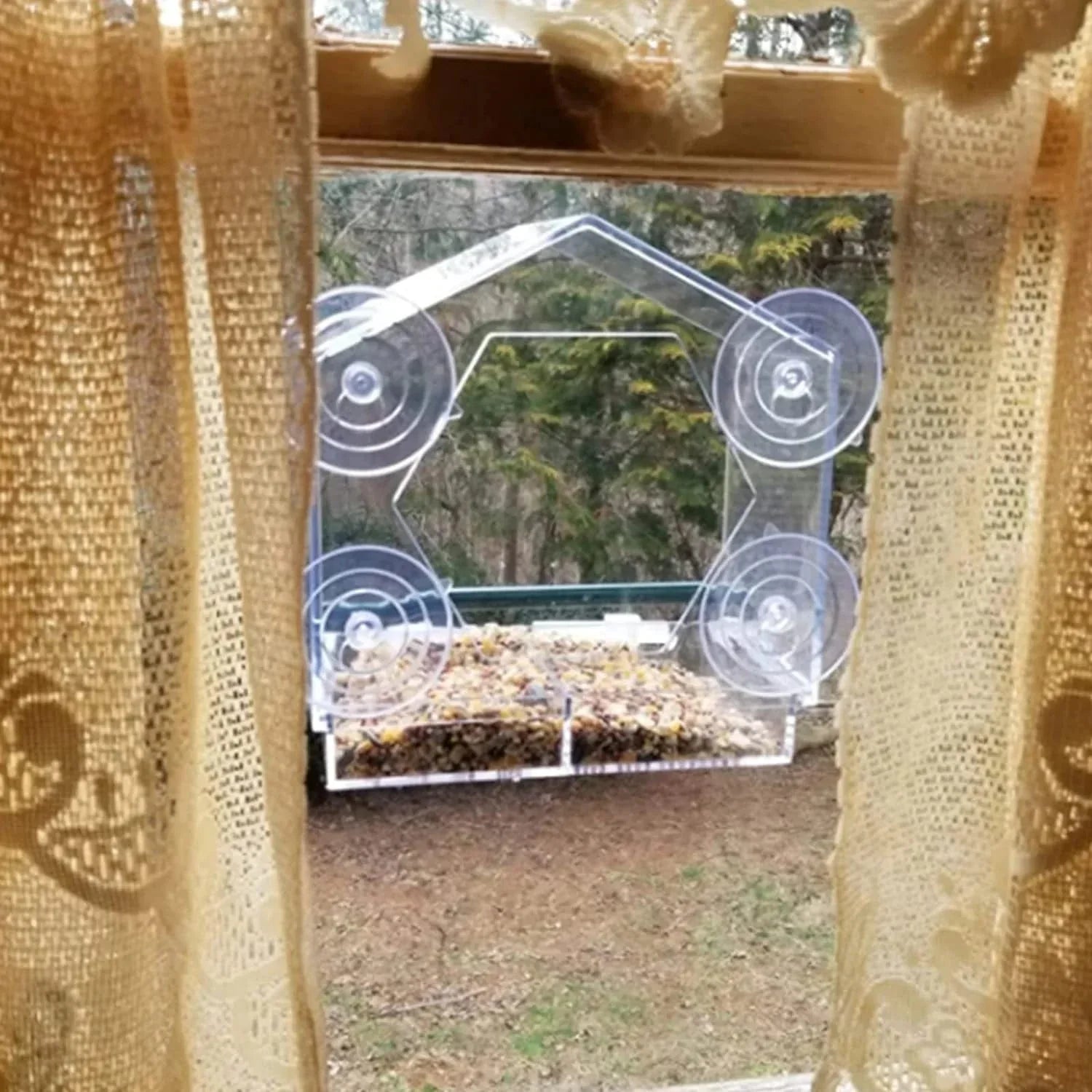 Clear Acrylic Bird Feeder with Suction Cup – Hanging Seed Tray