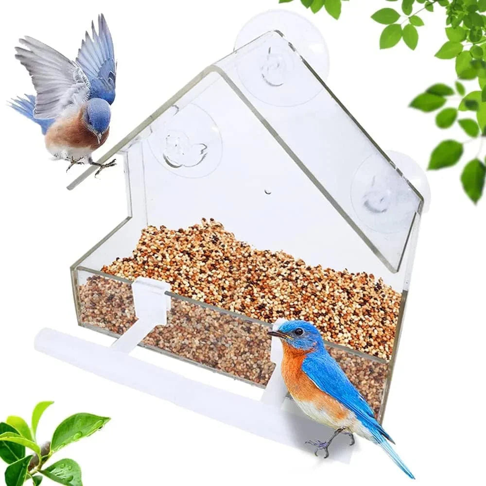Clear Acrylic Bird Feeder with Suction Cup – Hanging Seed Tray