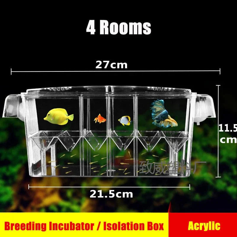 Multifunctional Aquarium Incubator with Transparent Design