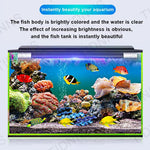Waterproof LED Aquarium Light with RGB Colors - Underwater Plant Light 22-57