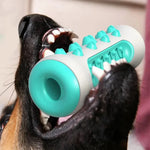 Caustic Toys for Dogs – Dental Care Chew Bones for Puppies Made of TPR