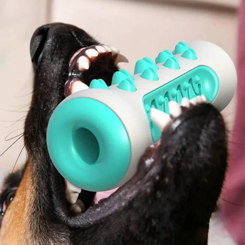 Caustic Toys for Dogs – Dental Care Chew Bones for Puppies Made of TPR