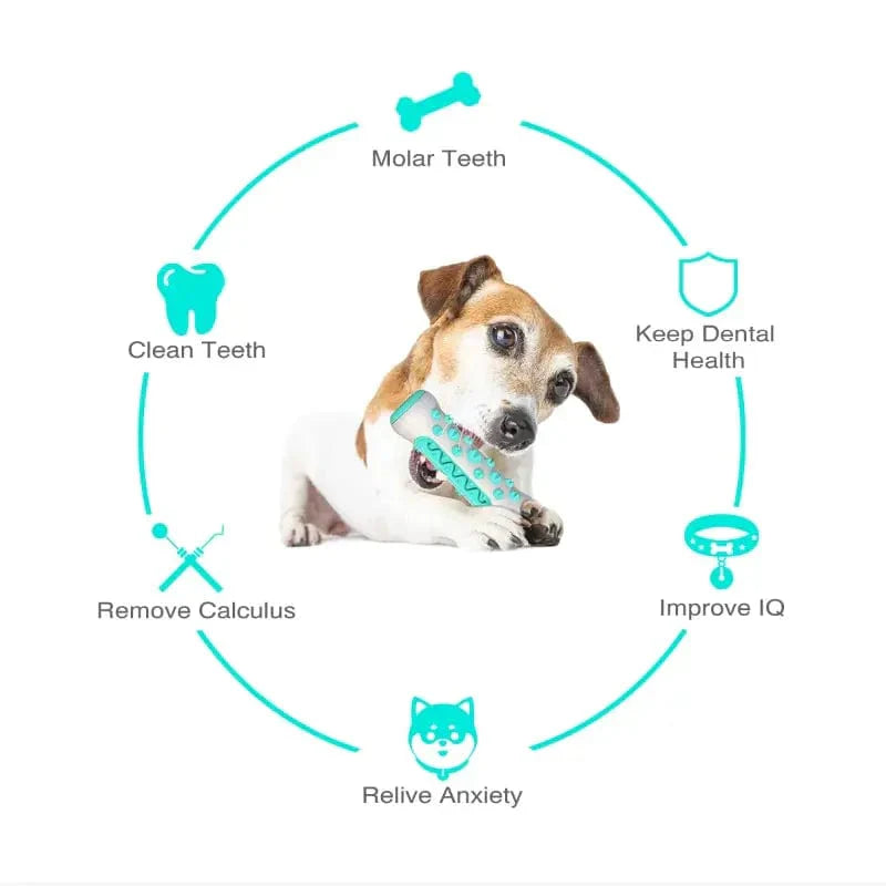 Caustic Toys for Dogs – Dental Care Chew Bones for Puppies Made of TPR