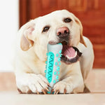 Caustic Toys for Dogs – Dental Care Chew Bones for Puppies Made of TPR