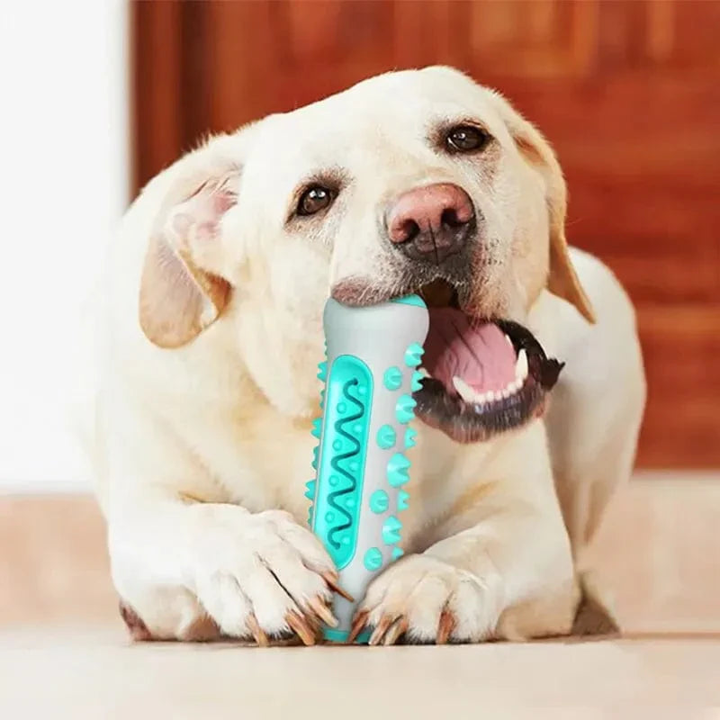 Caustic Toys for Dogs – Dental Care Chew Bones for Puppies Made of TPR