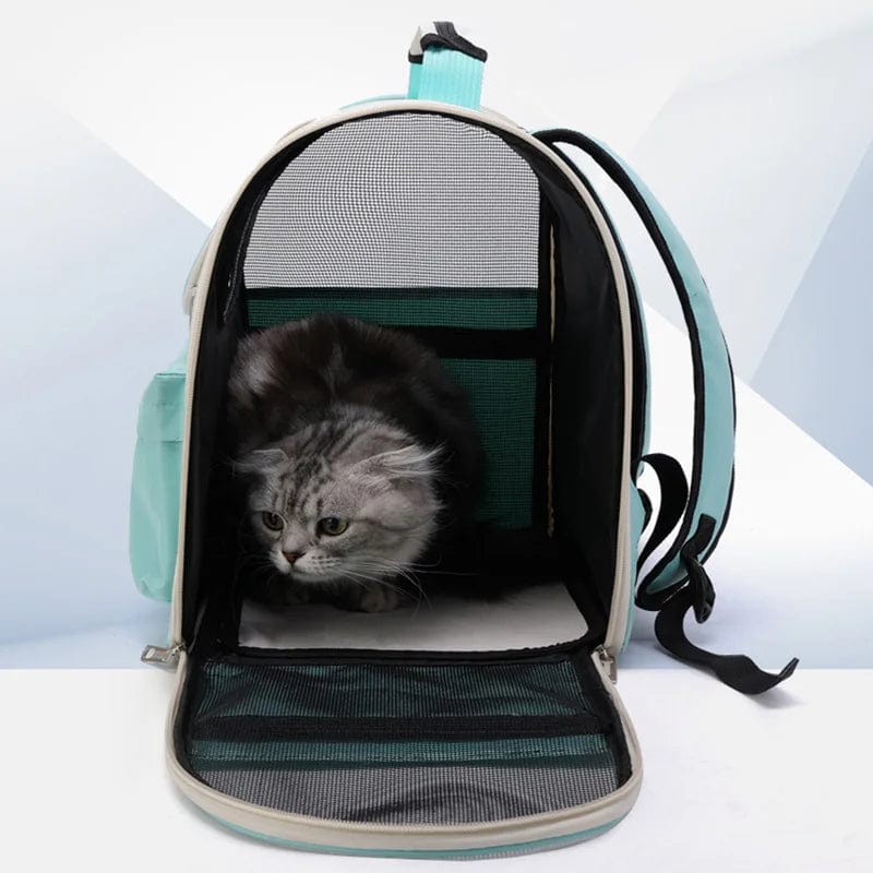 Cat and Small Dog Carrier – Windproof Backpack with Padding