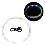 Leuchtendes USB-Hundehalsband mit Sicherheitsfunktionen
