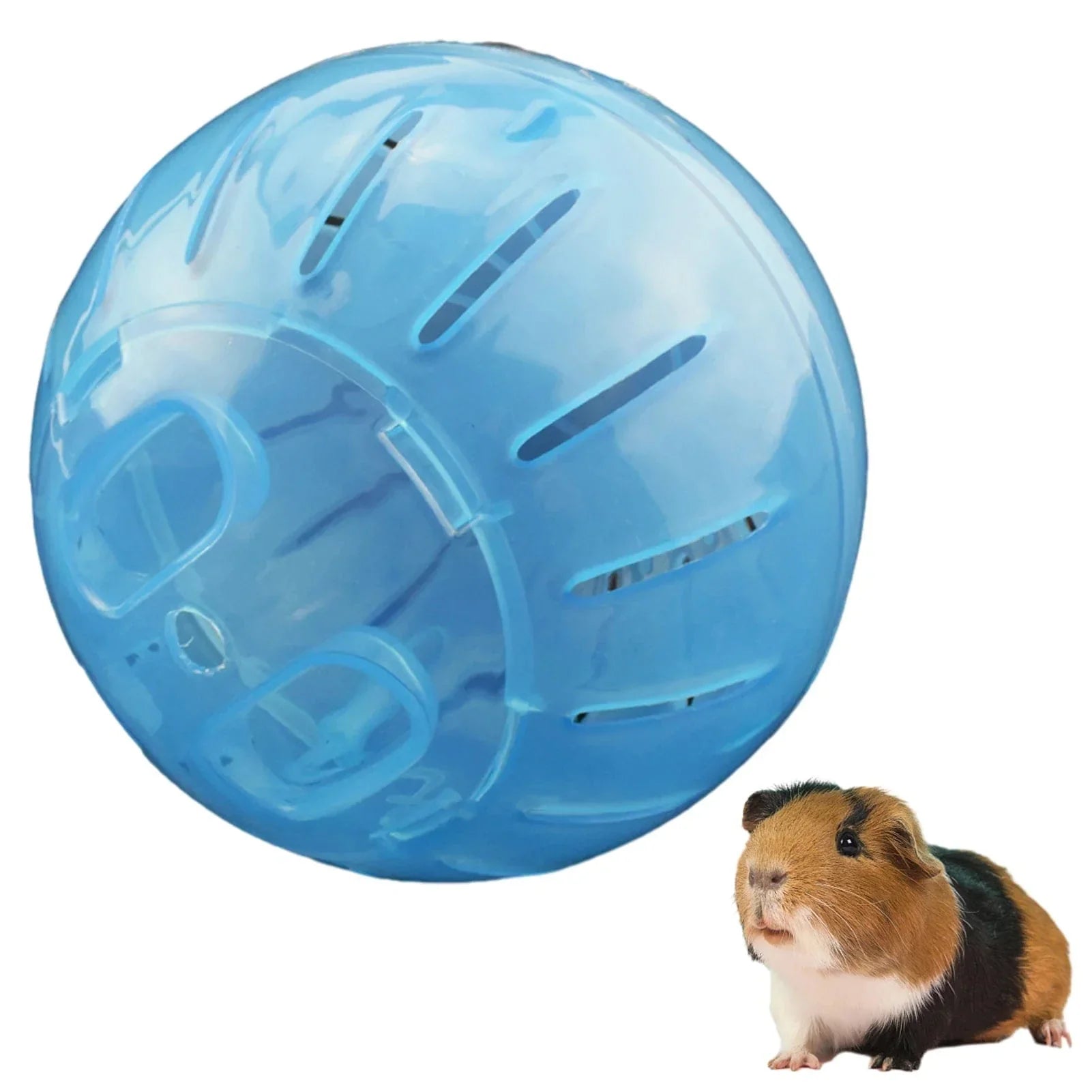 Kompakter Hamsterball für aktives Spielen – Sicher und bunt