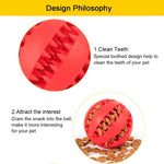 Interactive Rubber Ball for Dogs - Dental Cleaning Toy for Small and Large Dogs as well as Cats