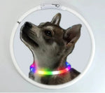 Leuchtendes USB-Hundehalsband mit Sicherheitsfunktionen