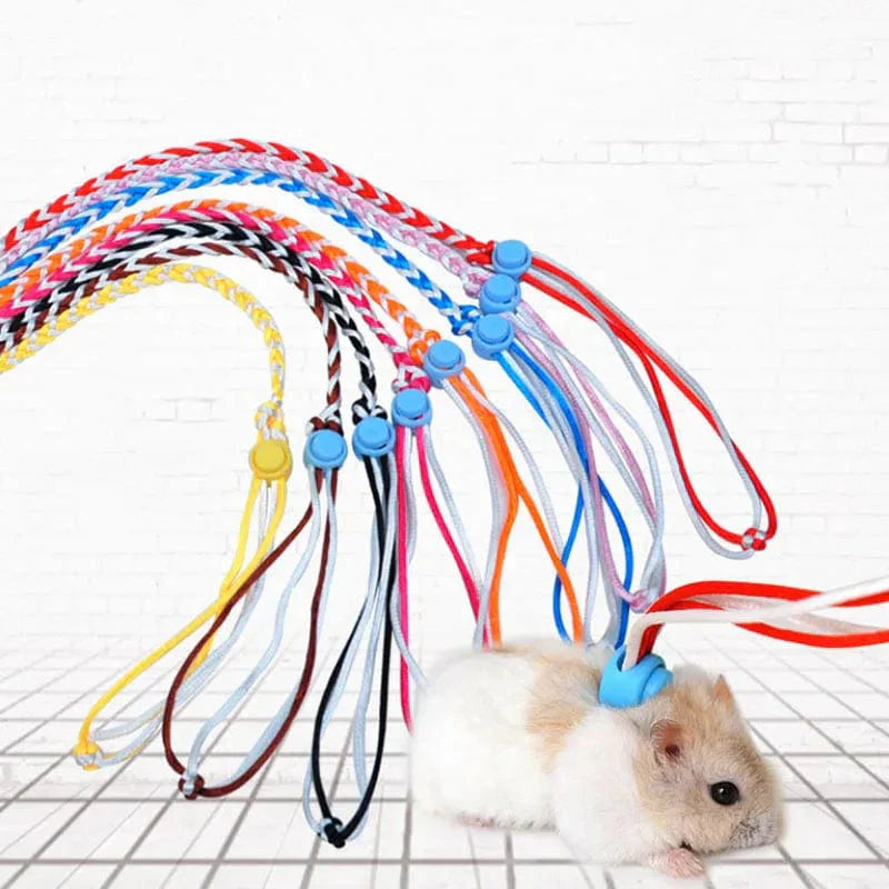 Adjustable Leash for Small Pets – 1.4 m & 2.0 m