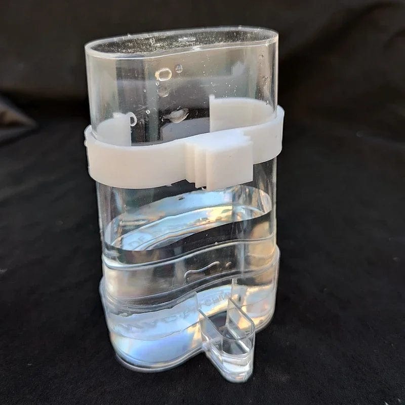 Automatic Water Dispenser and Food Feeder for Birds – Accessories for Parrot Cages
