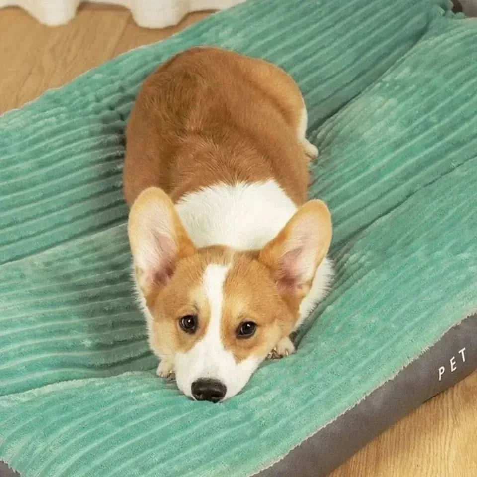 Orthopedic Dog Bed for Pets – Comfort and Support