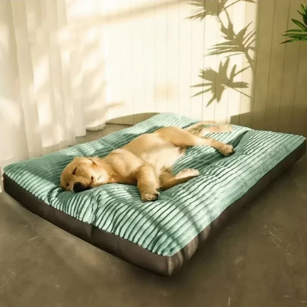 Orthopedic Dog Bed for Pets – Comfort and Support