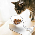 Raised Pet Bowl for Small Pets