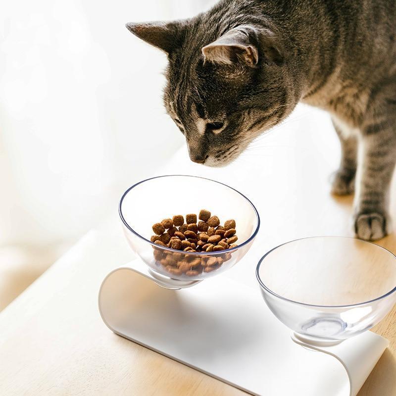 Raised Pet Bowl for Small Pets