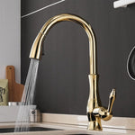 Elegant Kitchen Faucet with Pull-Out Spray Head – Stainless Steel 360° Swivel