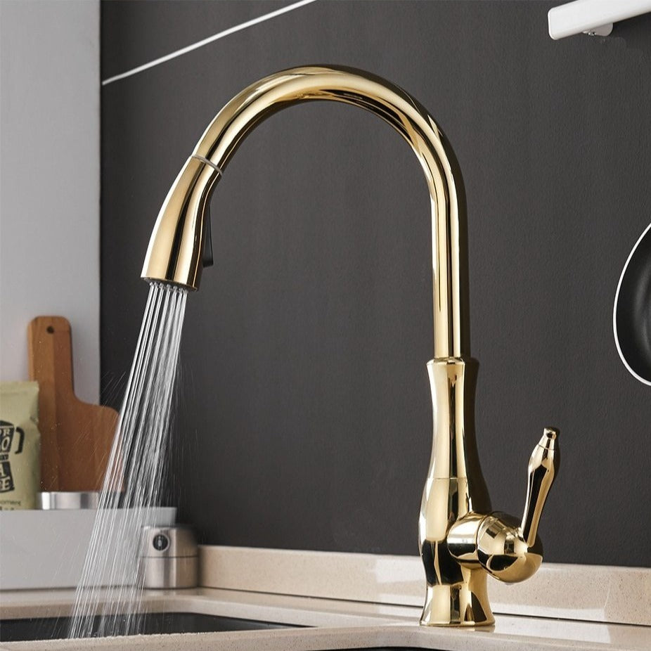 Elegant Kitchen Faucet with Pull-Out Spray Head – Stainless Steel 360° Swivel