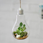 Elegant Pendant Lamp with Glass Vase