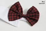 Stylish Bow Ties for Pets – Ideal for Dogs and Cats