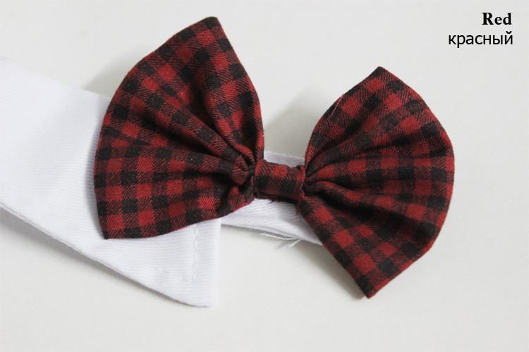 Stylish Bow Ties for Pets – Ideal for Dogs and Cats