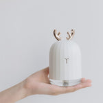 Aromatic Essence Diffuser with Gentle Lights