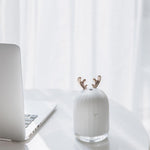 Aromatic Essence Diffuser with Gentle Lights