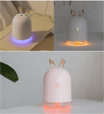 Aromatic Essence Diffuser with Gentle Lights
