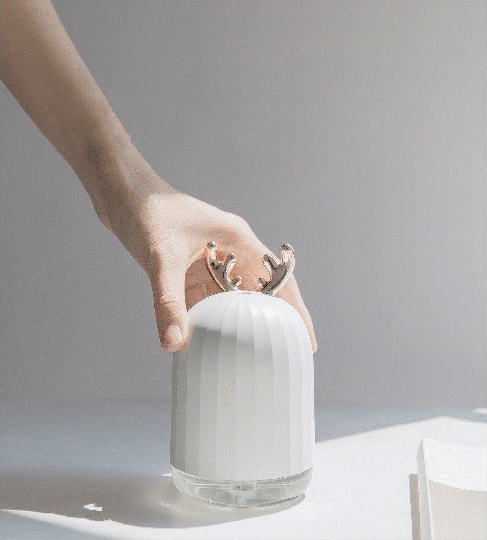 Aromatic Essence Diffuser with Gentle Lights