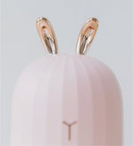 Aromatic Essence Diffuser with Gentle Lights