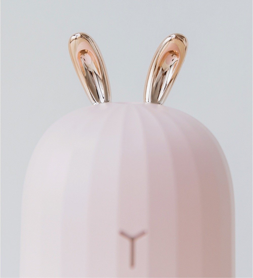 Aromatic Essence Diffuser with Gentle Lights