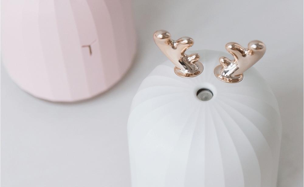 Aromatic Essence Diffuser with Gentle Lights