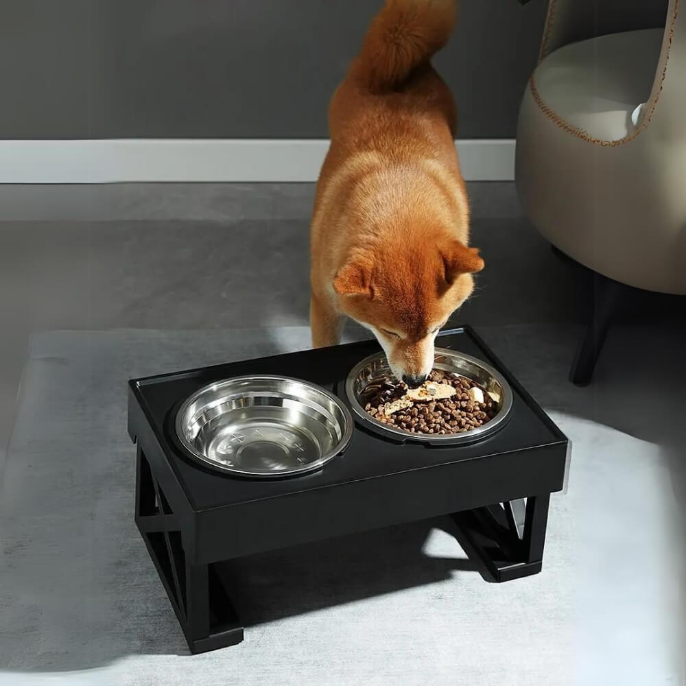 Elevated Dog Bowl with Ergonomics and Slow Feeding for Healthy Meals