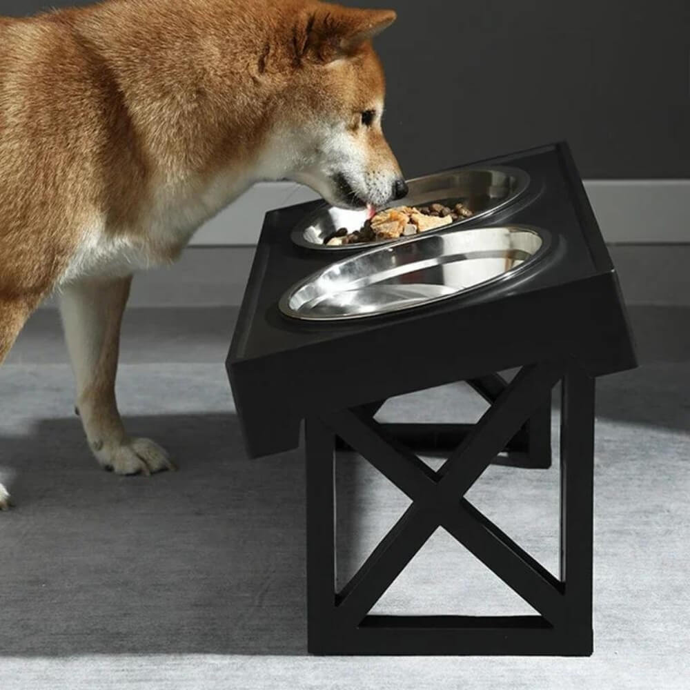Elevated Dog Bowl with Ergonomics and Slow Feeding for Healthy Meals