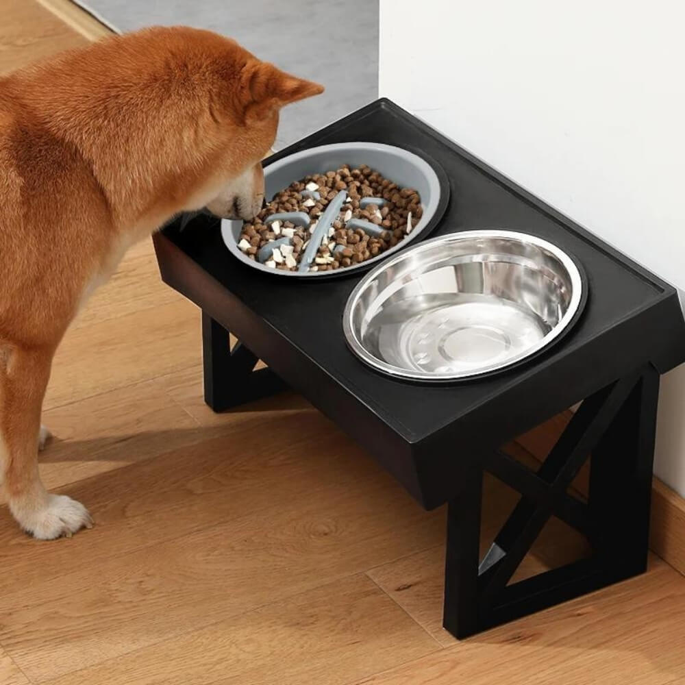 Elevated Dog Bowl with Ergonomics and Slow Feeding for Healthy Meals