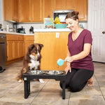Elevated Dog Bowl with Ergonomics and Slow Feeding for Healthy Meals