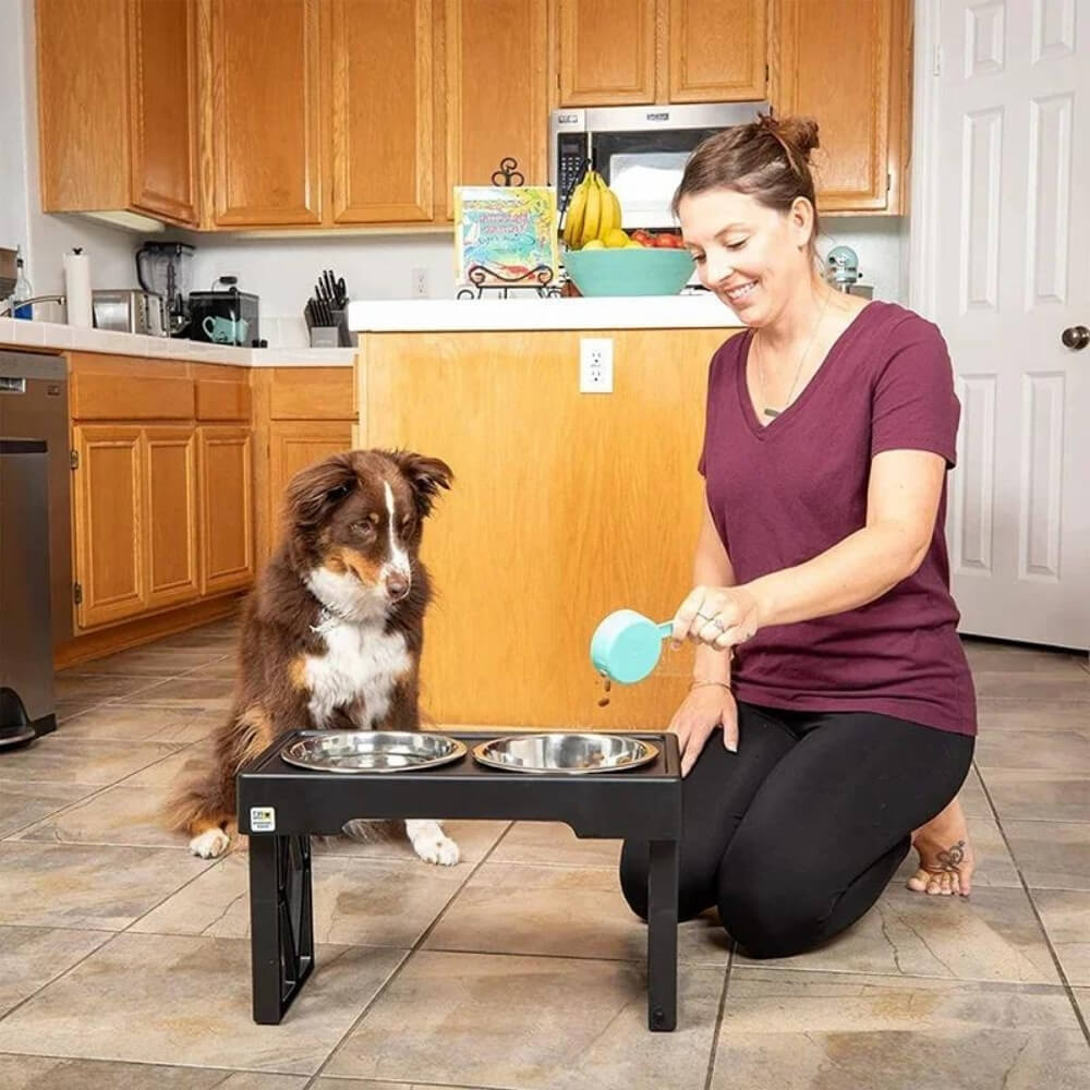 Elevated Dog Bowl with Ergonomics and Slow Feeding for Healthy Meals