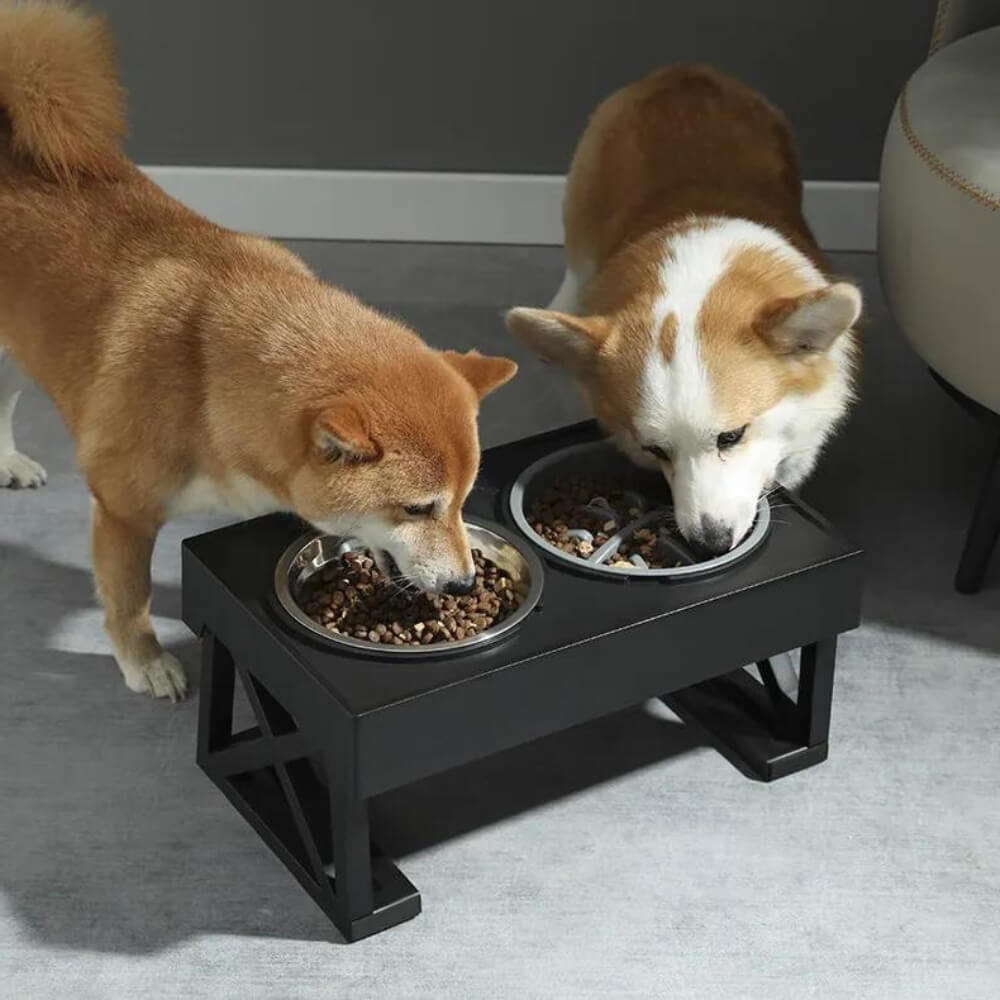 Elevated Dog Bowl with Ergonomics and Slow Feeding for Healthy Meals