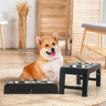 Elevated Dog Bowl with Ergonomics and Slow Feeding for Healthy Meals