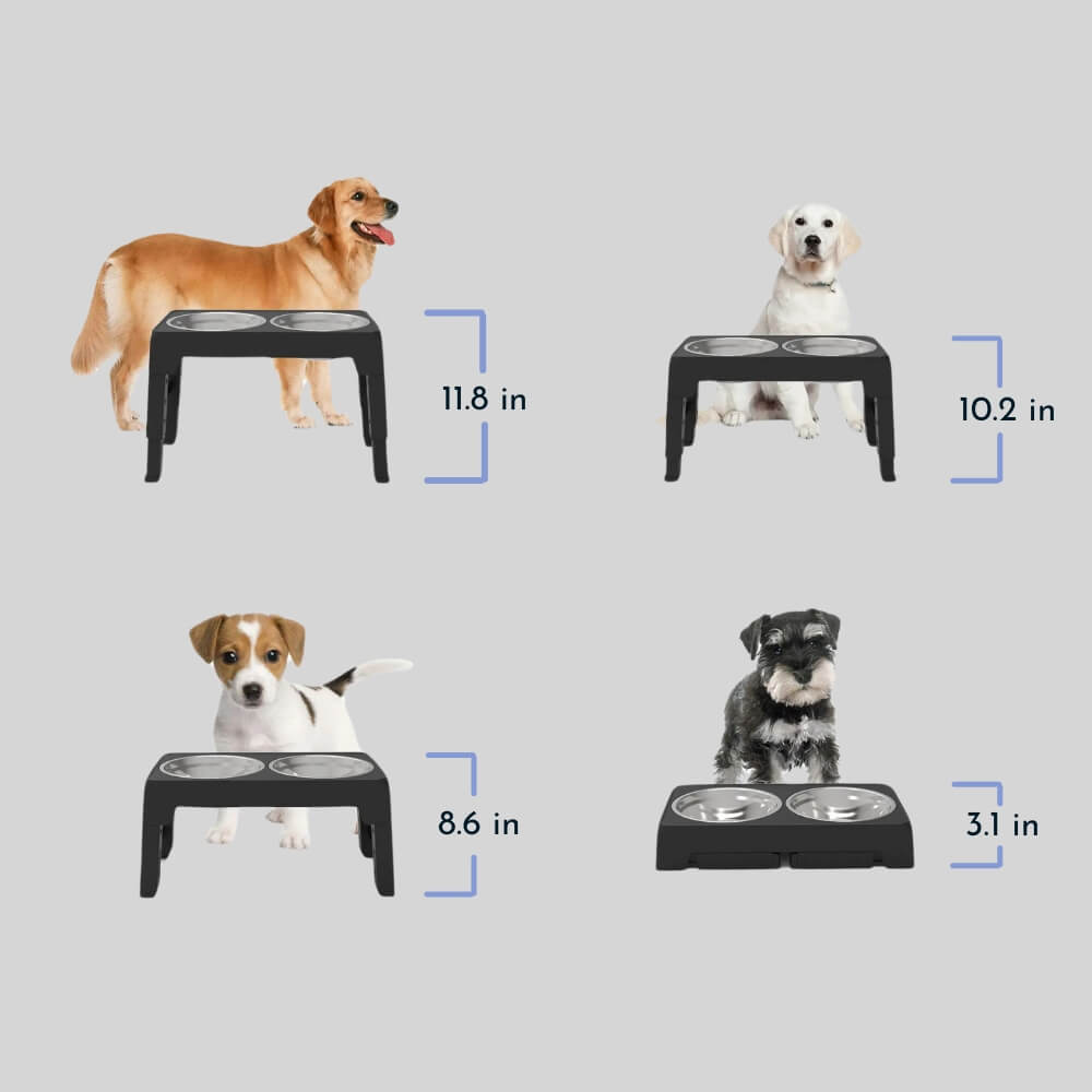 Elevated Dog Bowl with Ergonomics and Slow Feeding for Healthy Meals