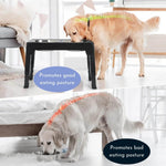 Elevated Dog Bowl with Ergonomics and Slow Feeding for Healthy Meals