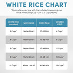 20-Cup Multi-Functional Digital Rice Cooker