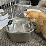AquaViva | Smart Drinking Fountains for Cats and Dogs – 3.2L Stainless Steel with Filter