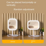 LED Makeup Mirror with Light for Perfect Makeup