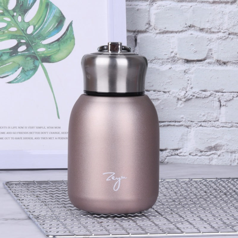 Compact Stainless Steel Insulated Bottle | ThermoGenie