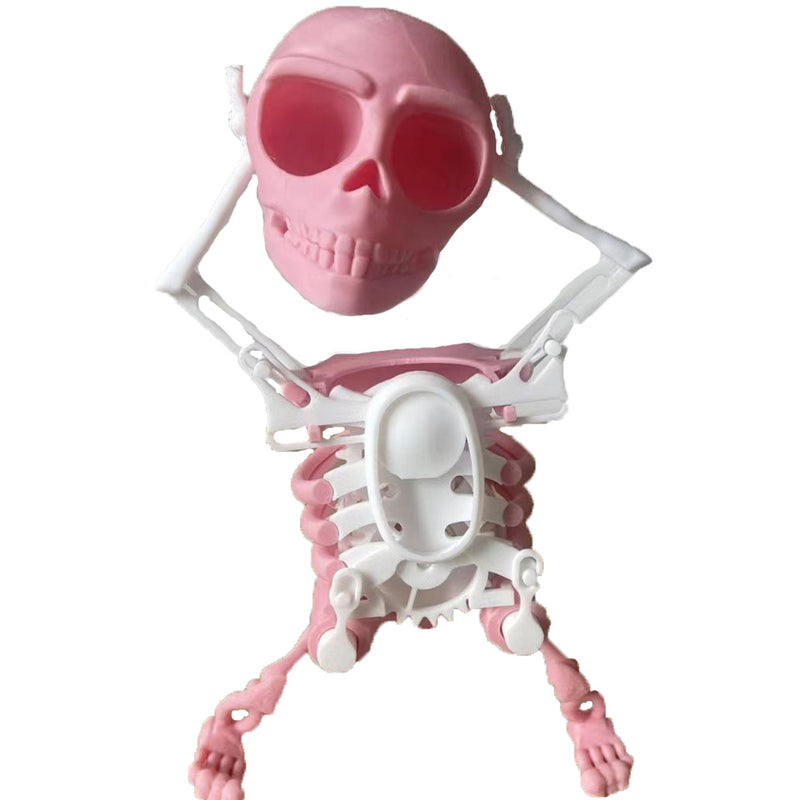 Lively 3D Skull Toy for vibrant moments
