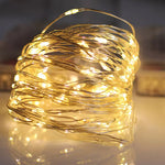 Decorative Copper Wire String Lights with USB Connection